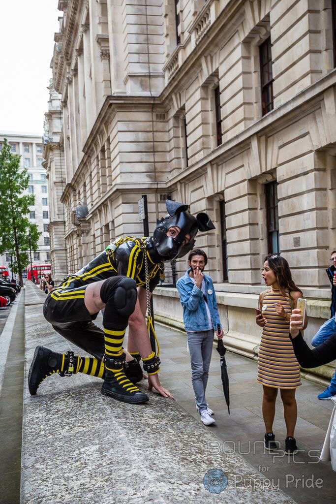 PupScruff-160804-003