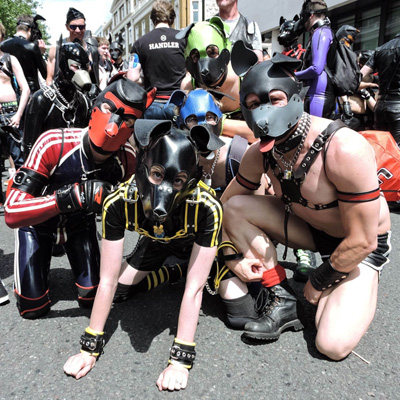 PupScruff-160804-005