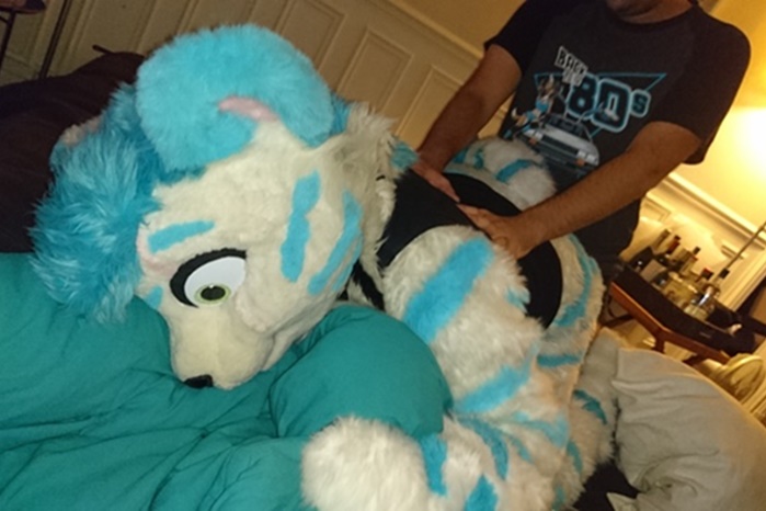 stormy-frenchcat-161119-009