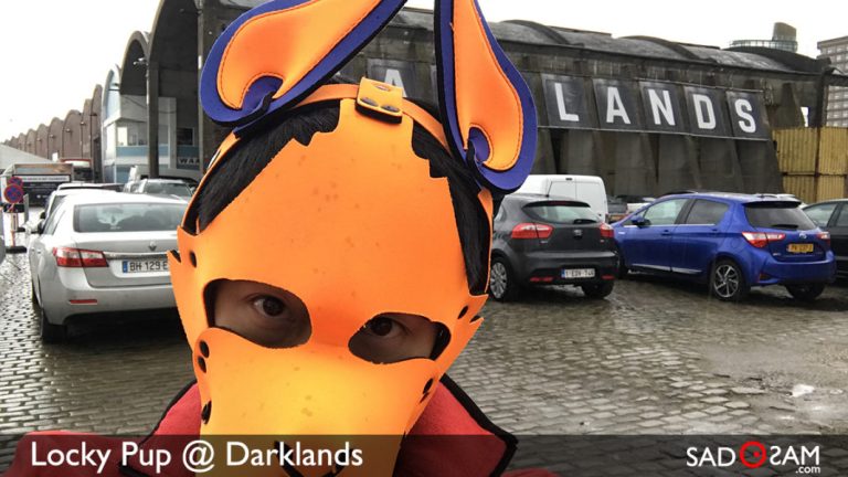 Aussie Pup’s Experience at Darklands