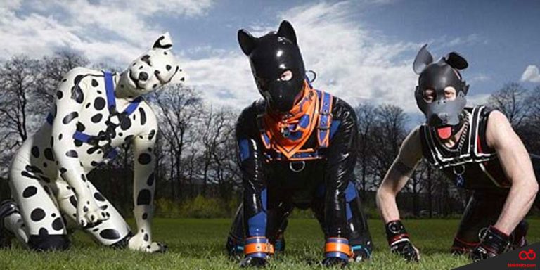 The Impact of Chanel 4’s Pet Play Documentary